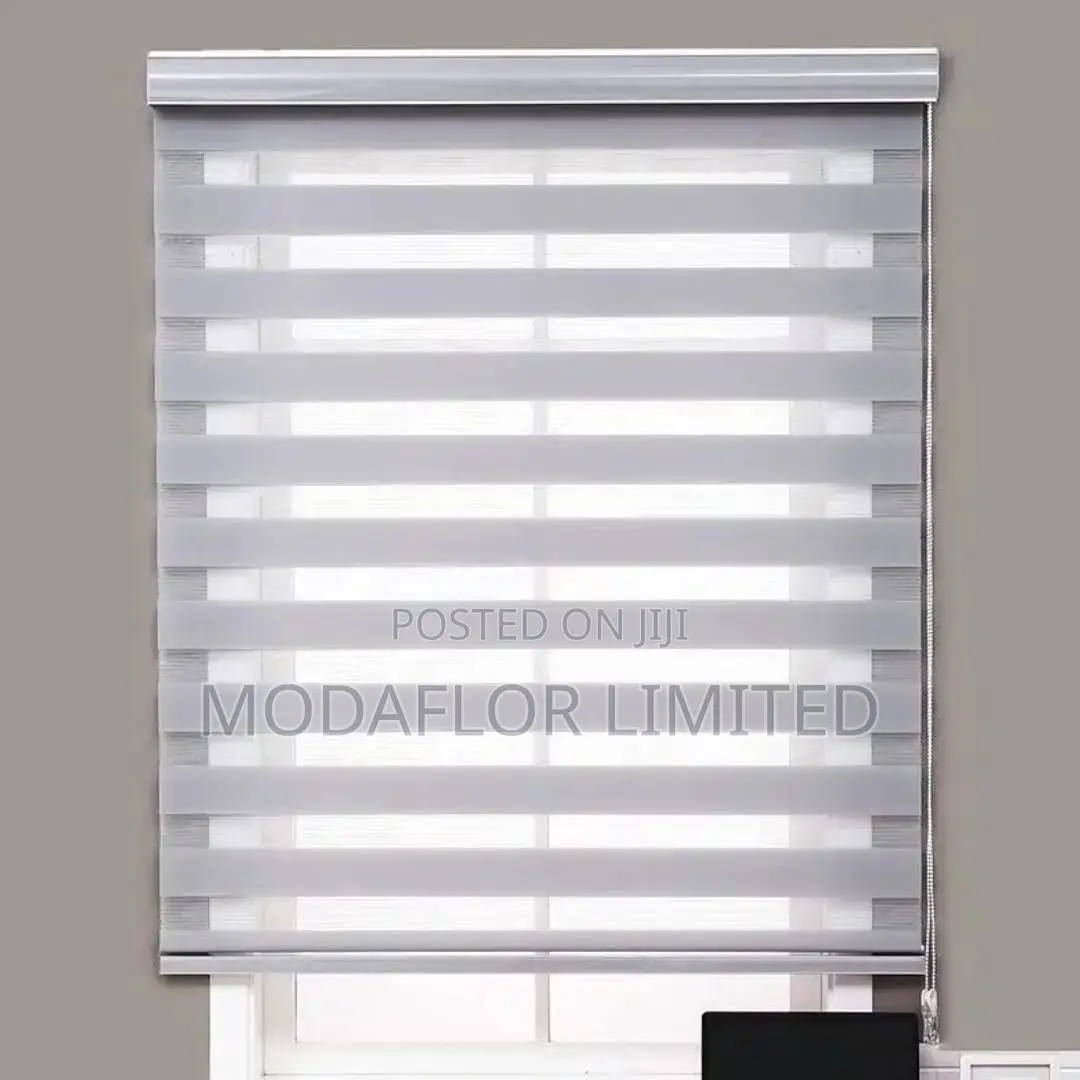 Office Friendly Zebra Blinds/ Neat and Professional Look