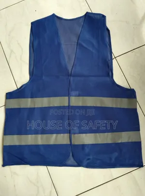 Blue Generic Reflector And Luminous Green Generic Vest