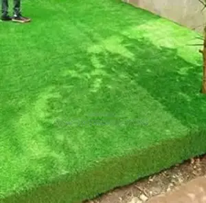 Green Grass Carpet for Outdoor Activities- Nairobi