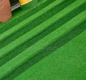 Artificial Lawn Carpets – Tsavo Road, Odeon