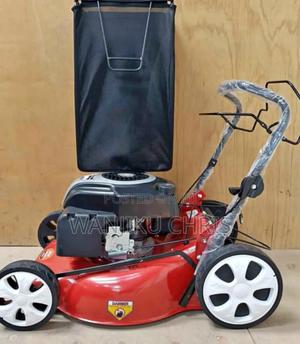 Lawn Mower/Amazing Lawn Mower - thumbnail 2