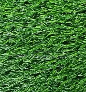 Premium Synthetic Grass for Landscaping – Tsavo Road, Odeon
