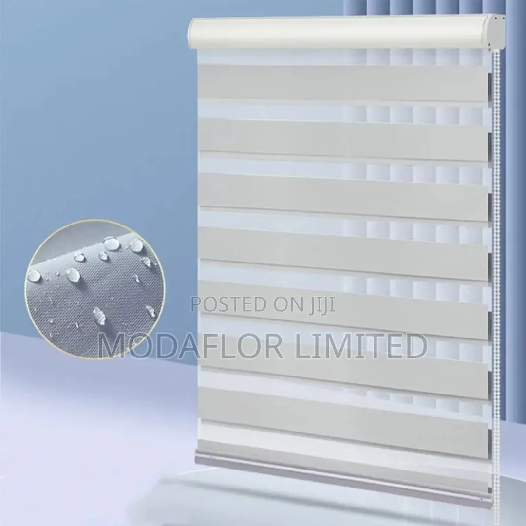 Elegant Day Night Zebra Blinds_ Affordable