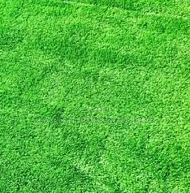 Quality Artificial Grass Carpets at Affordable Prices – Tsavo Road