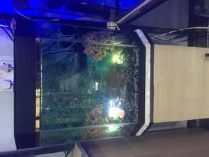 Aquarium Tanks - main view