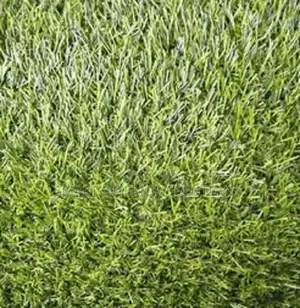 Consistent Artificial Grass Carpet