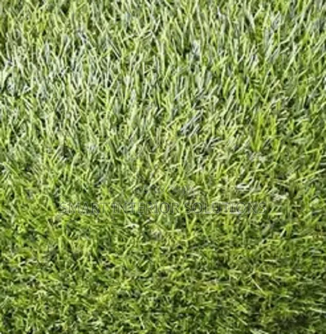 Natural-Looking Artificial Grass Carpets – Tsavo Road, Odeon