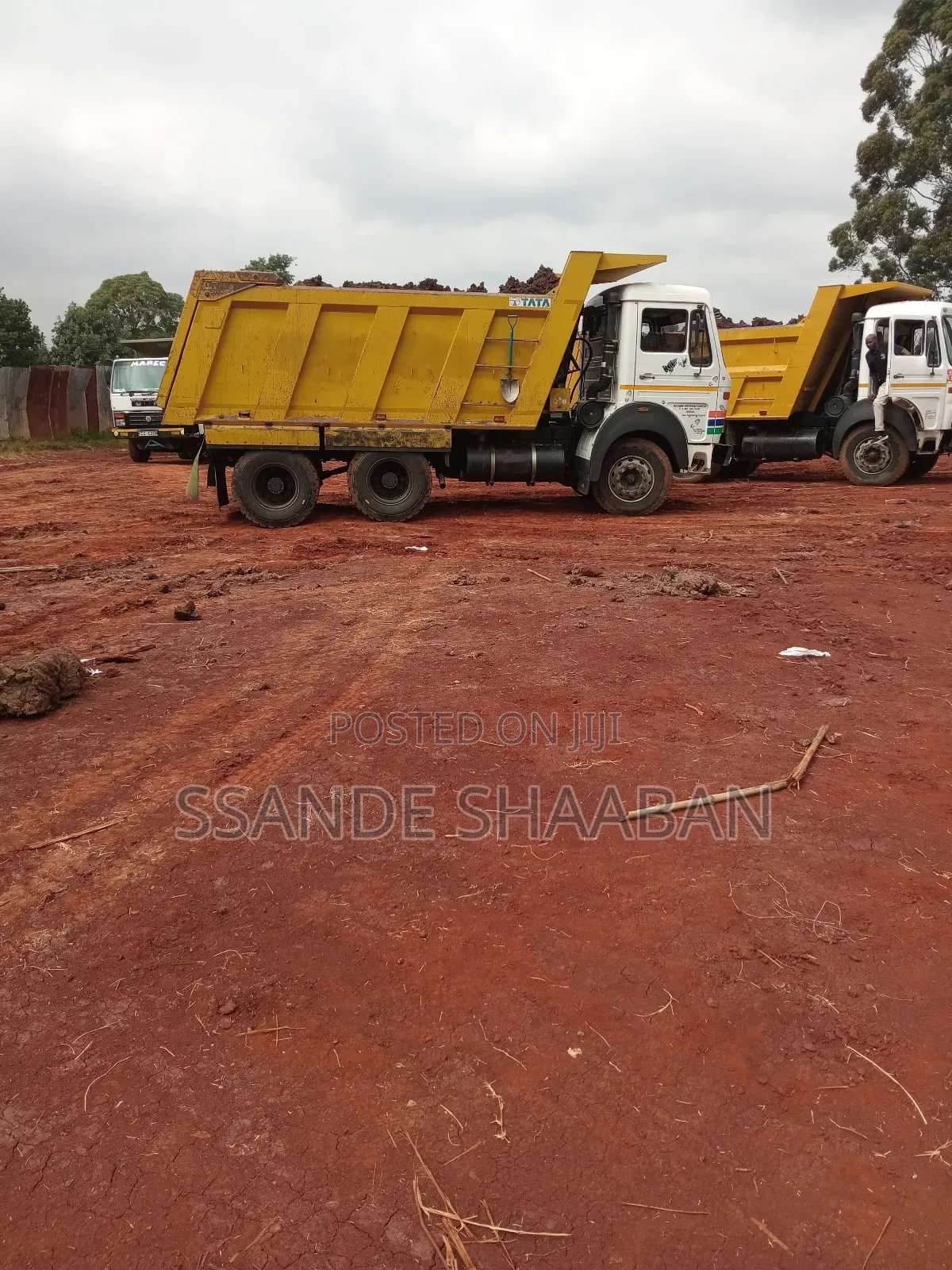 Excavation Services