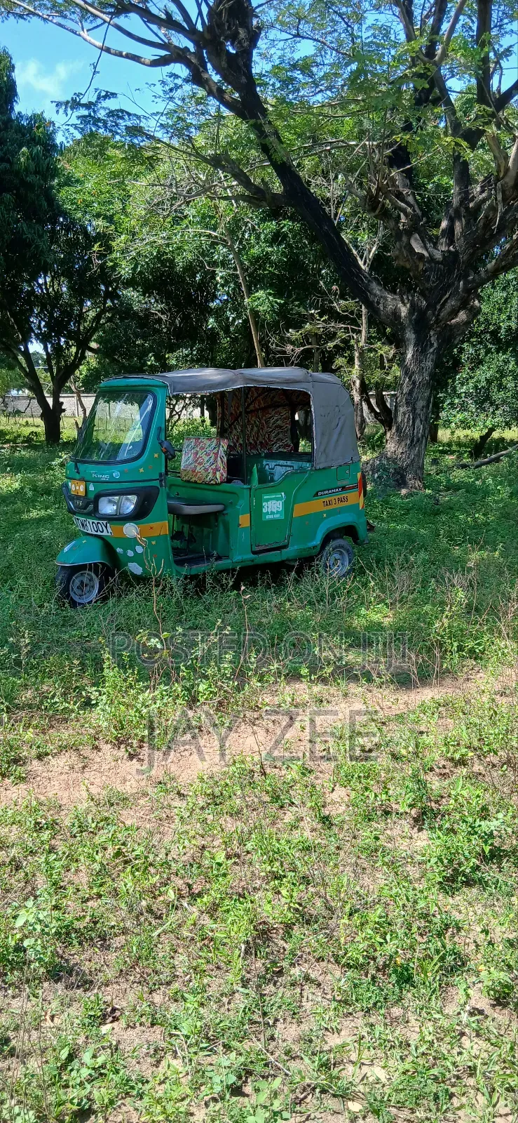 TVS King Deluxe Plus iTouch Start 2019 Green