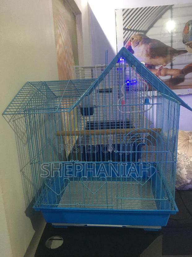 Bird Cages - thumbnail 3