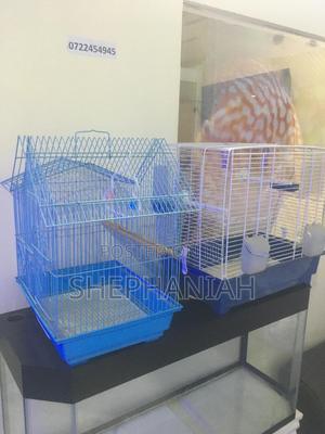 Bird Cages - thumbnail 2