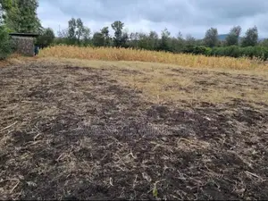 Plot for Sale