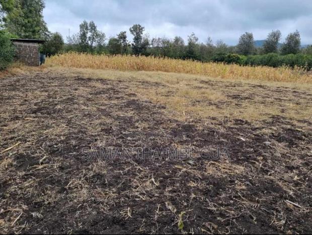 Plot for Sale - main view