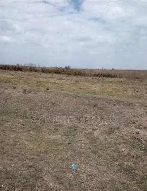 Plot for Sale