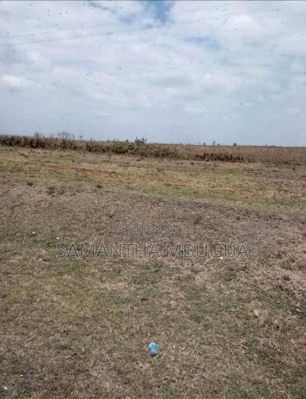 Plot for Sale - thumbnail 2