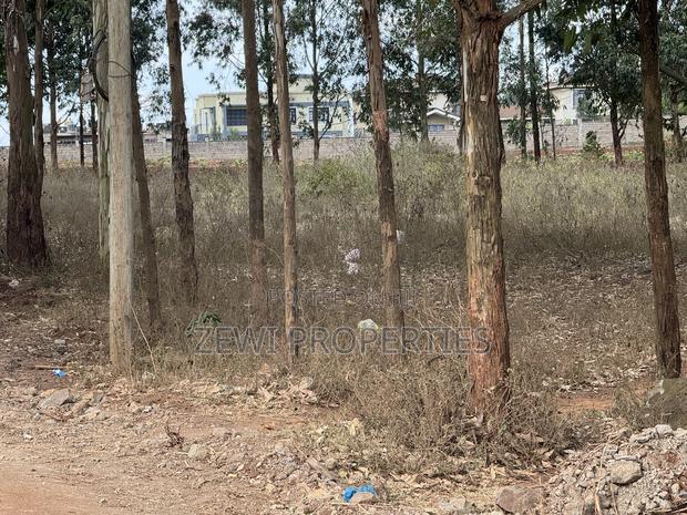 Half Acre Kibiku - thumbnail 3