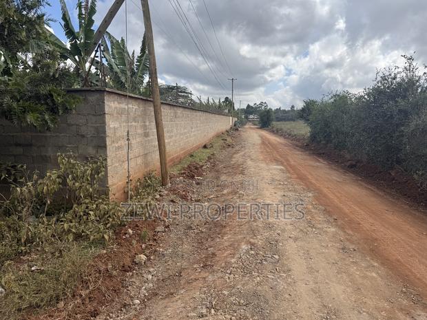 Half Acre Kibiku - main view