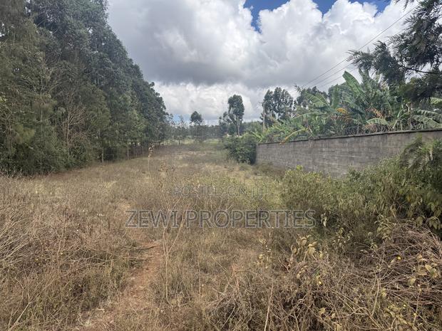 Half Acre Kibiku - thumbnail 2