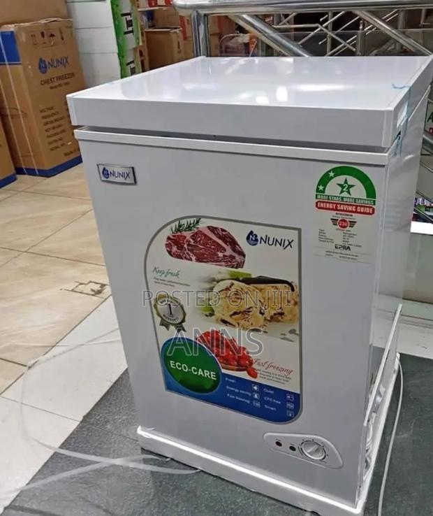 2 Star 100 Litres Nunix Freezer - main view