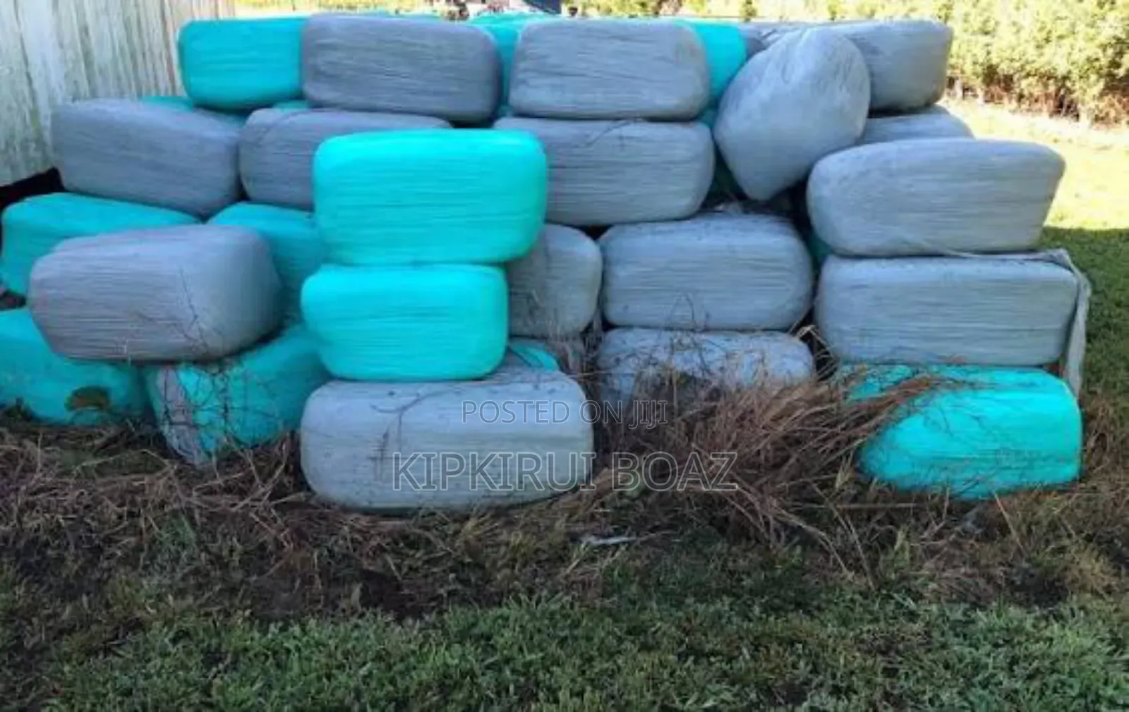 Silage for Sale