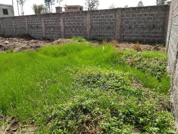 Plot for Sale by Owner - thumbnail 4