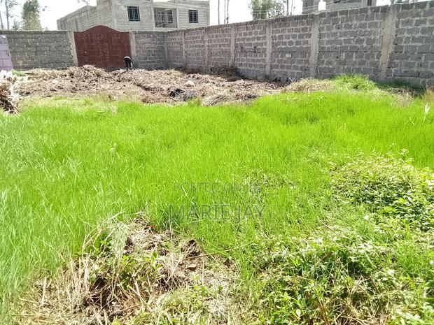 Plot for Sale by Owner - thumbnail 5