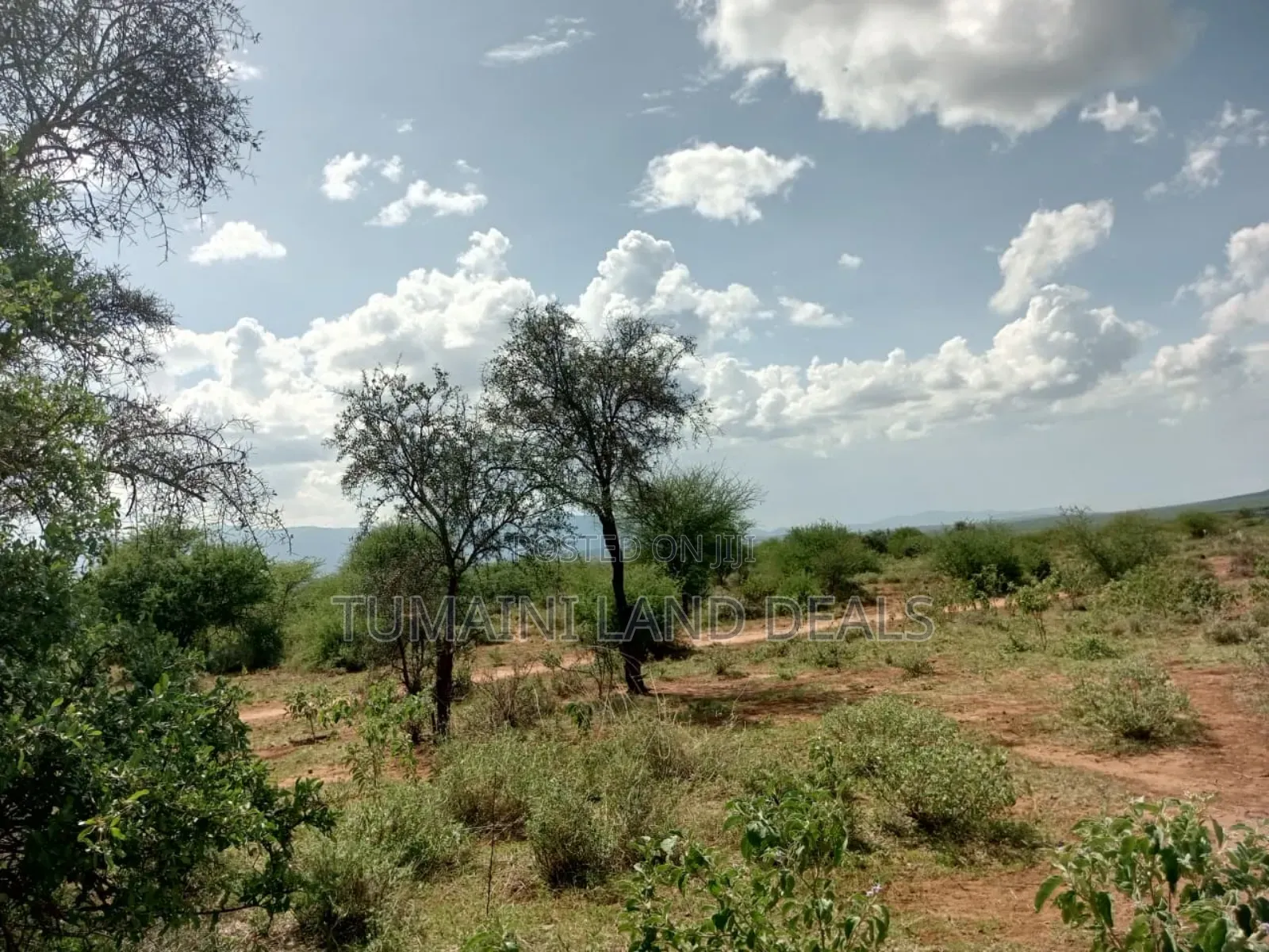 Land for Sell