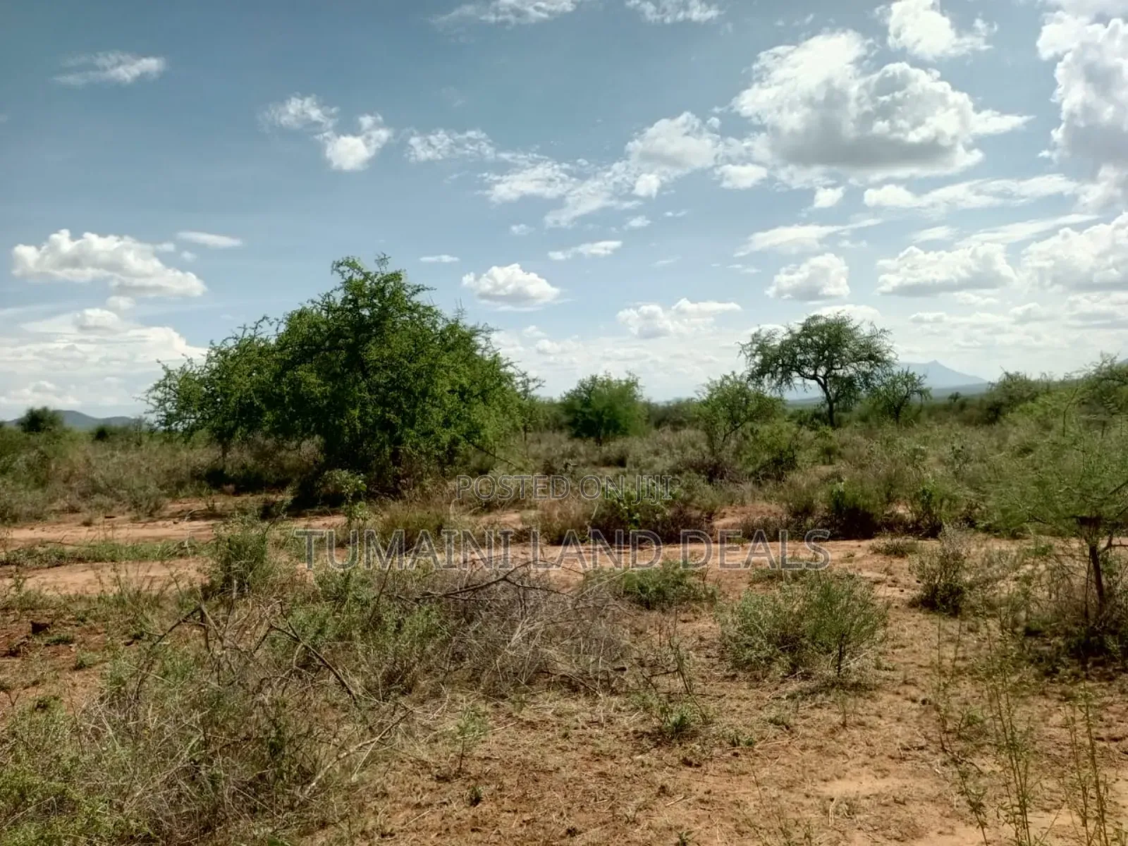Land for Sell