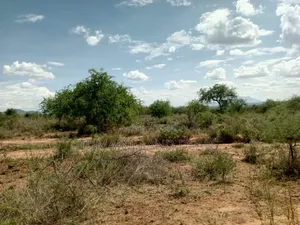 Land for Sell