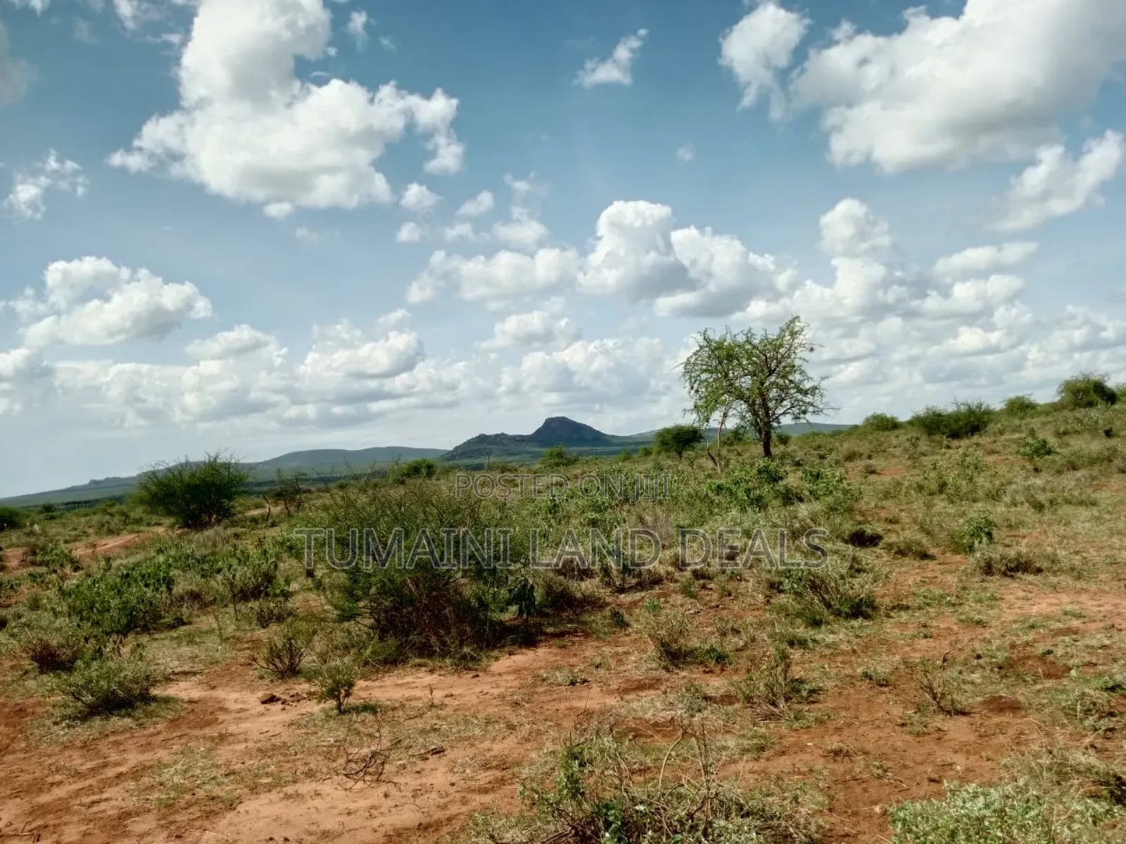Land for Sell