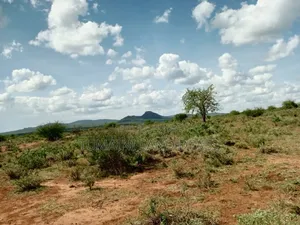 Land for Sell