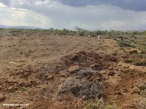 Quarry Land Maimahiu 14 Acres