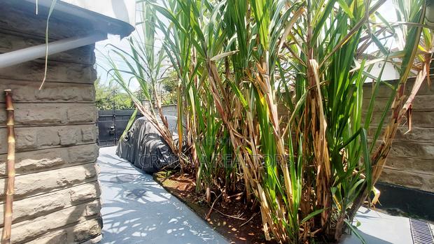 4bdrm House in Kileleshwa for sale - thumbnail 14