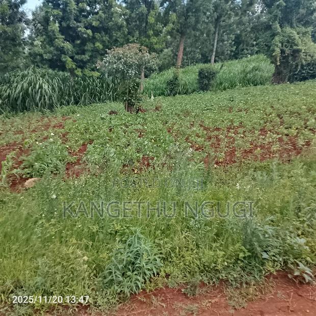 50 X 100 Residential Plots Gituamba Tinganga - thumbnail 2