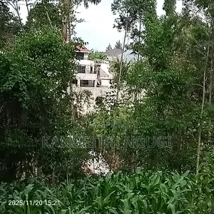 50 X 100 Residential Plot Nyautu, Tinganga