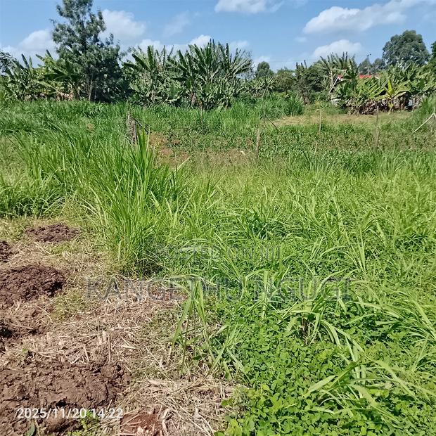 50 X 100 Residential Plot Nyautu, Tinganga - thumbnail 4