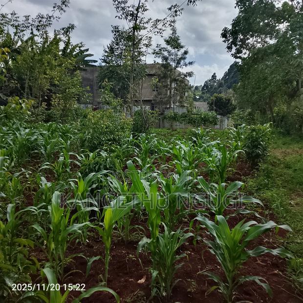 50 X 100 Residential Plot Nyautu, Tinganga - thumbnail 7