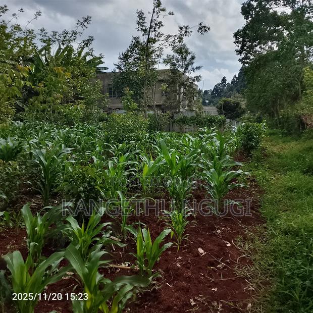 50 X 100 Residential Plot Nyautu, Tinganga - thumbnail 11