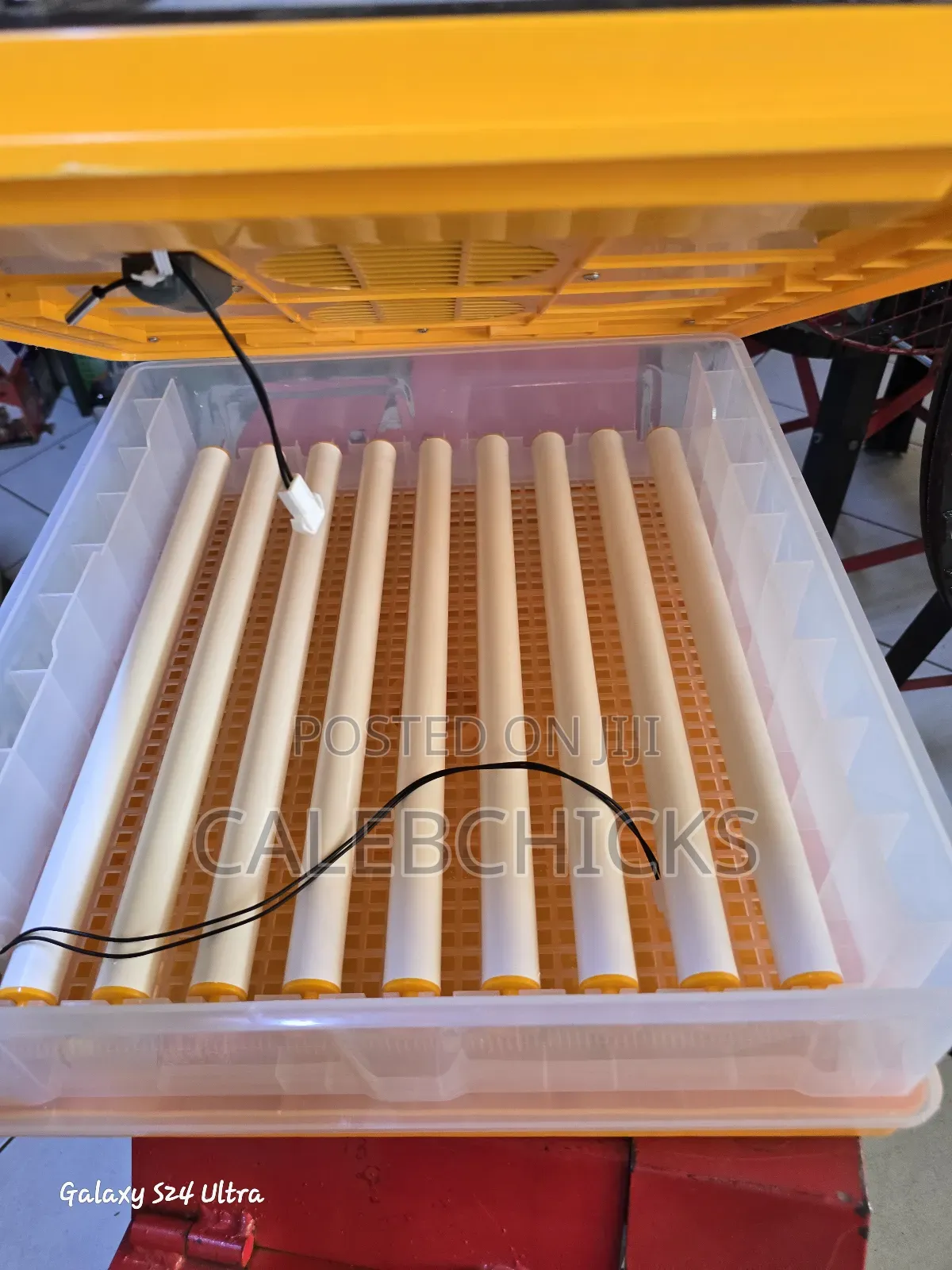 64 Egg Incubator