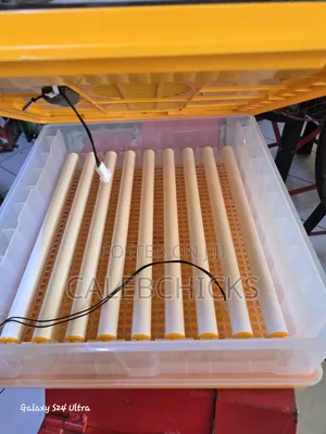 64 Egg Incubator