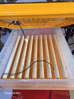 64 Egg Incubator