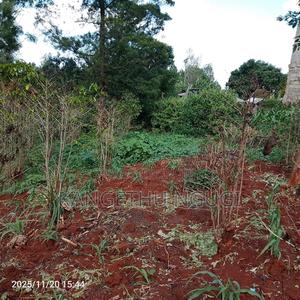 50x100 Plot Ikinu - main view