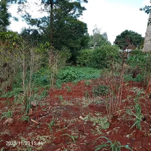 50x100 Plot Ikinu