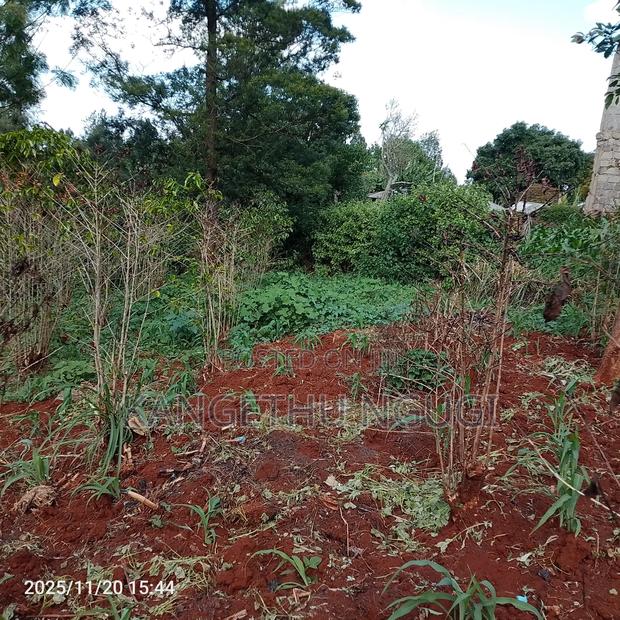 50x100 Plot Ikinu