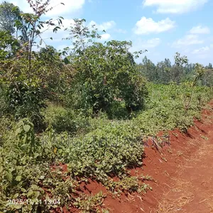 50x100 Plot Ikinu