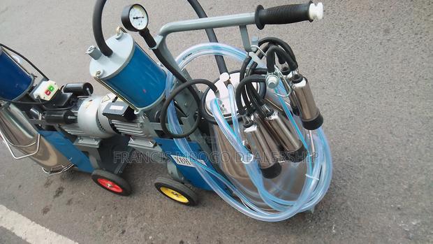 Milking Affordable Price - main view