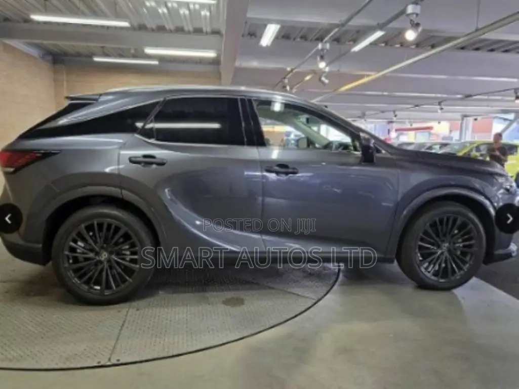 Lexus RX 2023 Gray