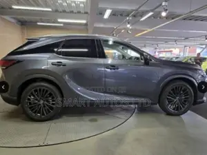 Lexus RX 2023 Gray