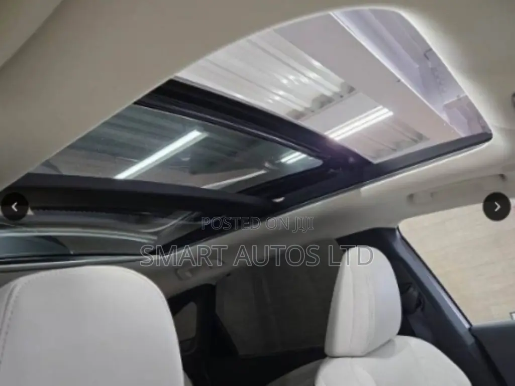 Lexus RX 2023 Gray