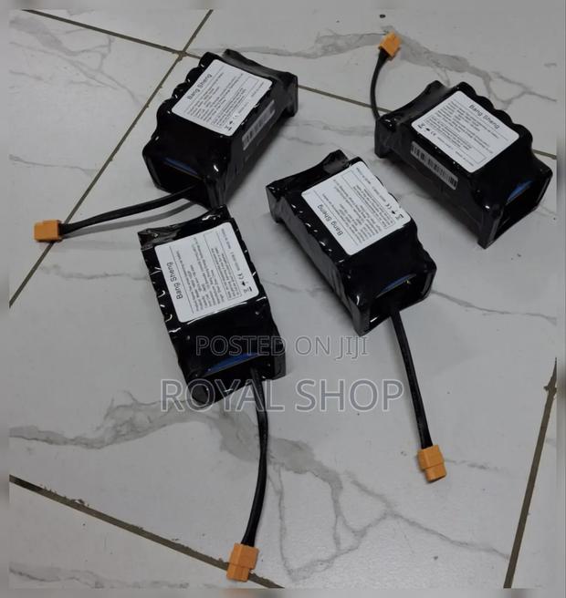 Hoverboard Battery 36v